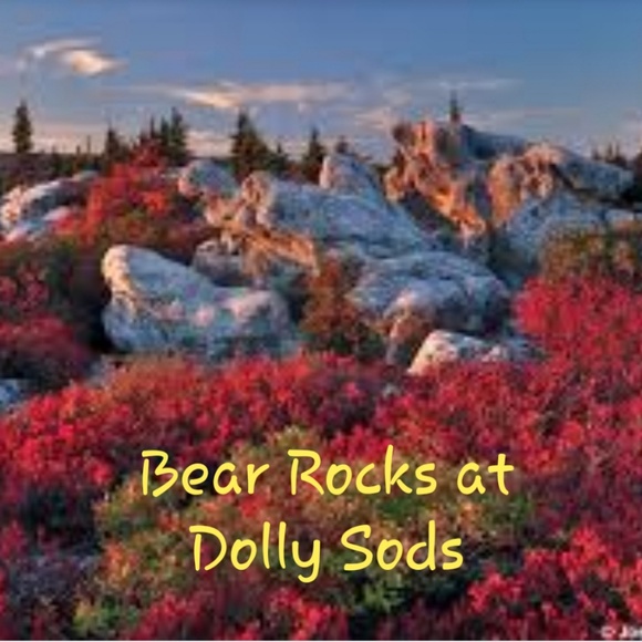 Wild Wonderful West Virginia - Picture 4 of 8